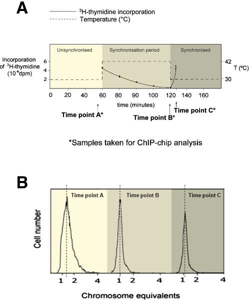 FIG 1 