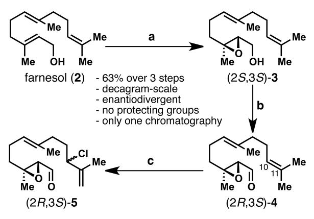 Scheme 2