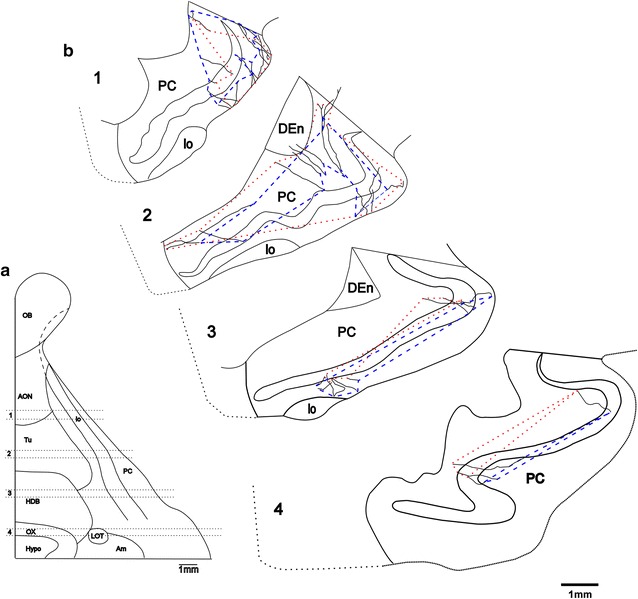 Fig. 6