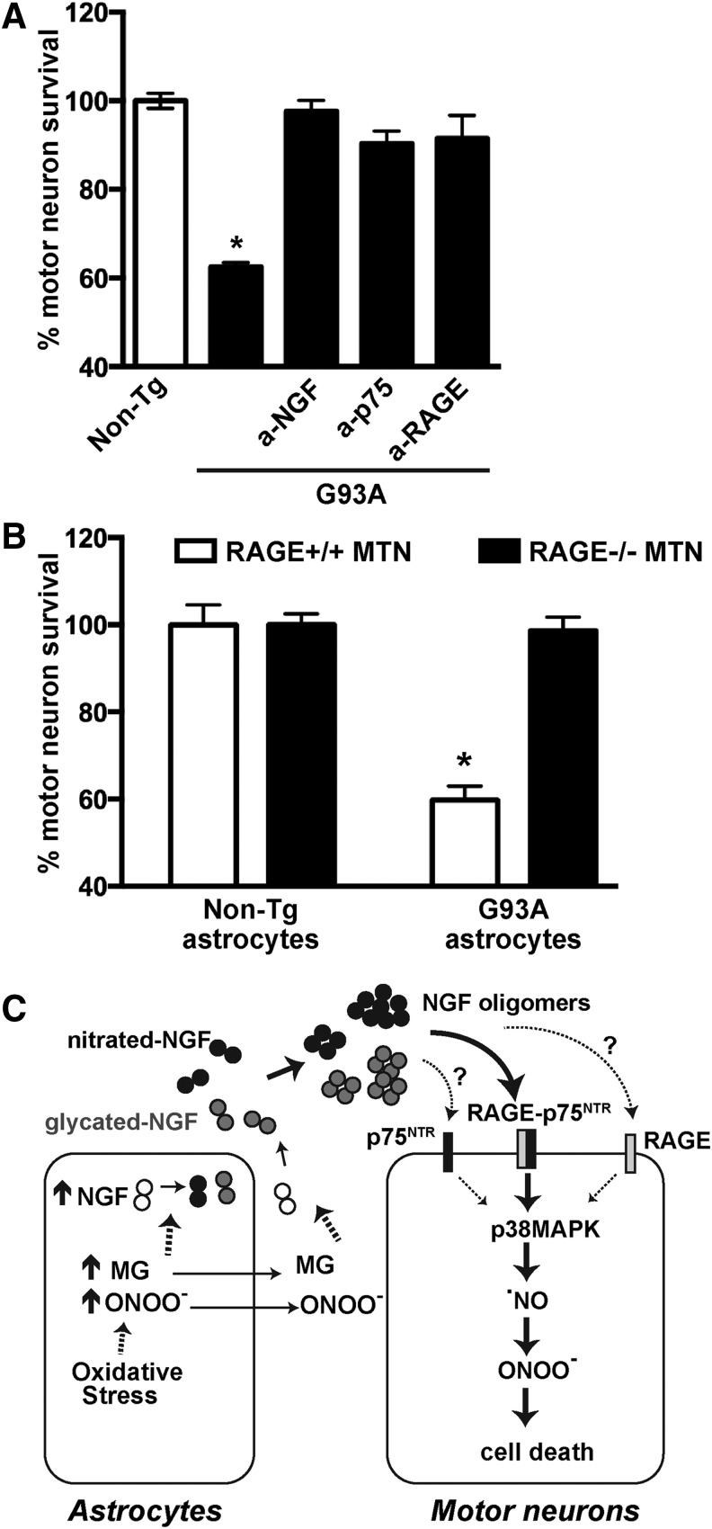 FIG. 8.