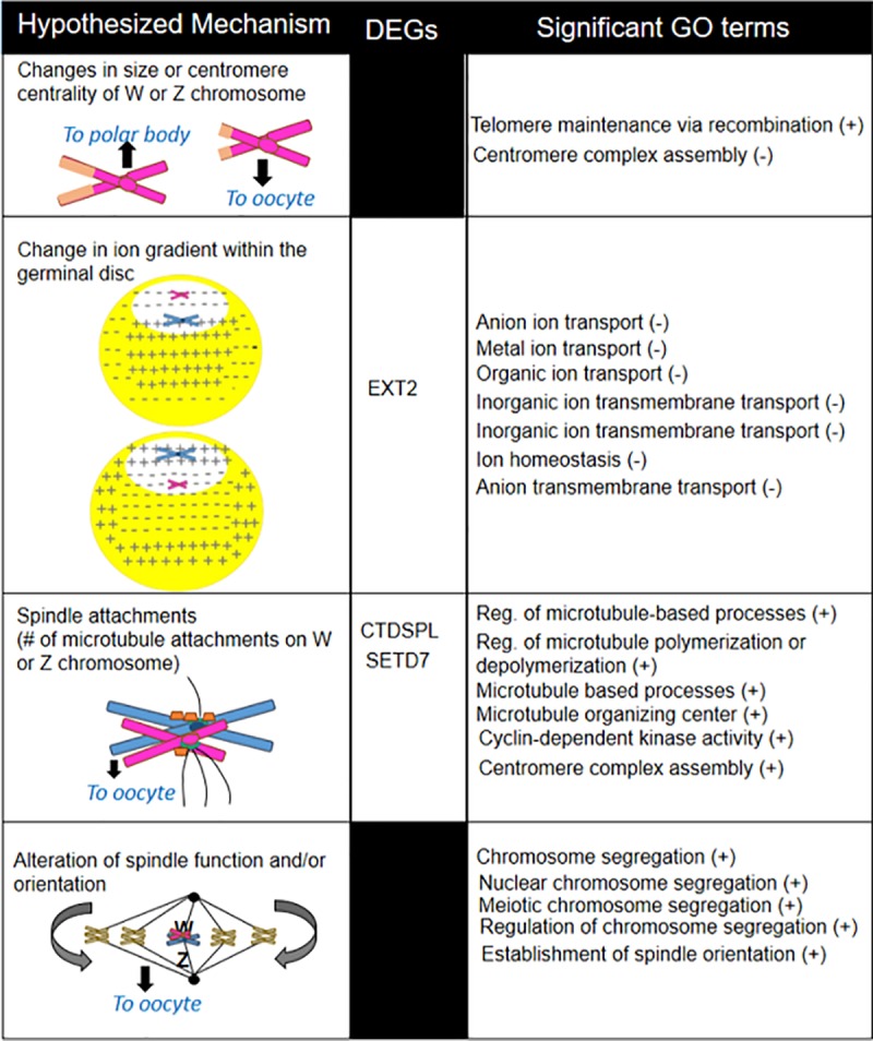 Fig 5