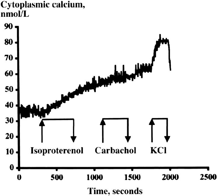 Figure 9.