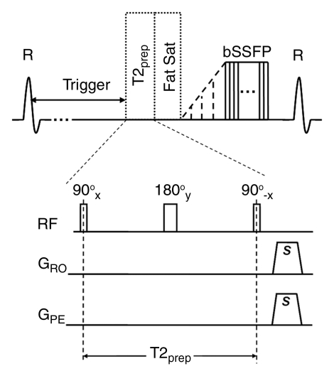 Figure 1b: