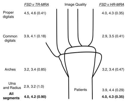 Figure 2b: