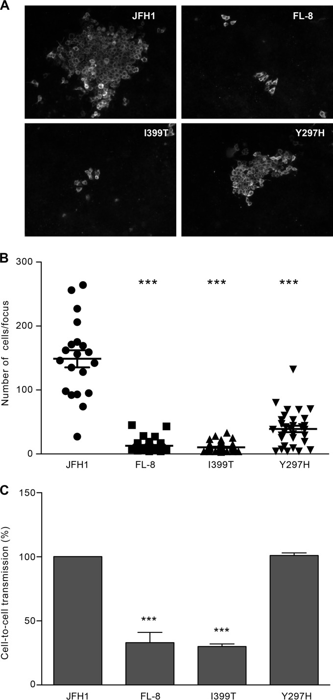 FIG 11