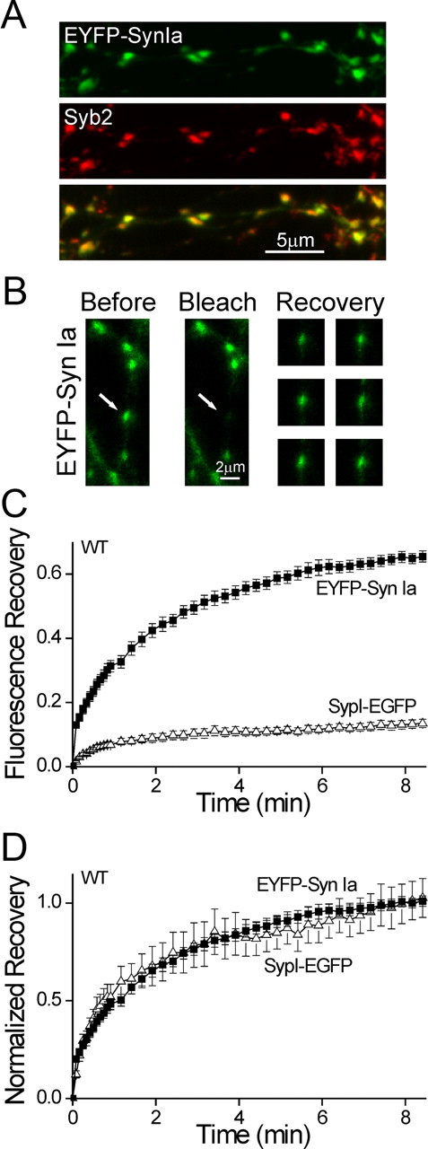 Figure 5.