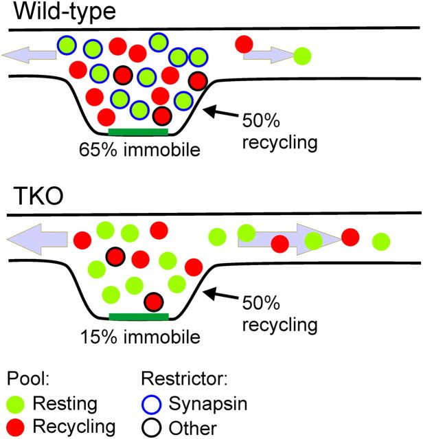 Figure 10.