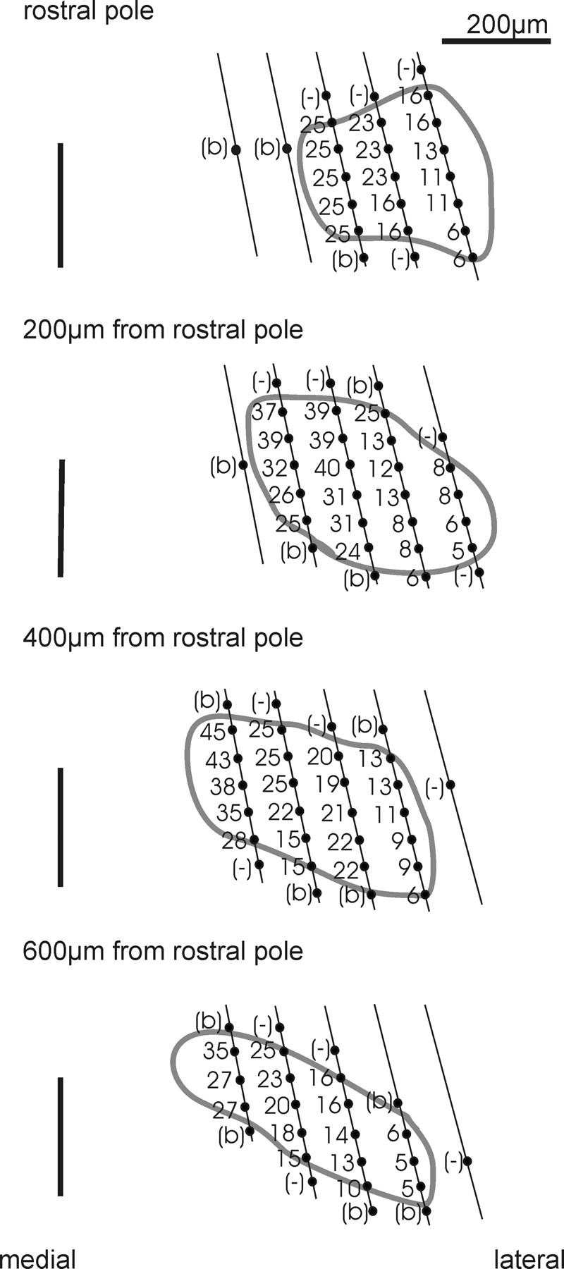 Figure 10.