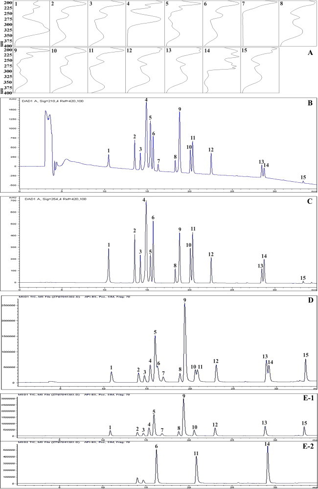 Fig. 3