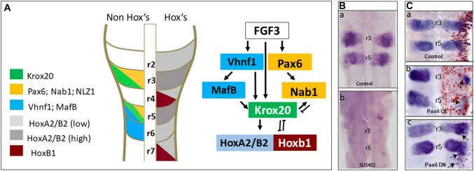 Fig. 2