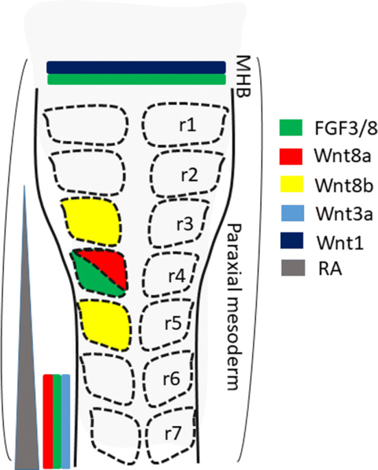 Fig. 3