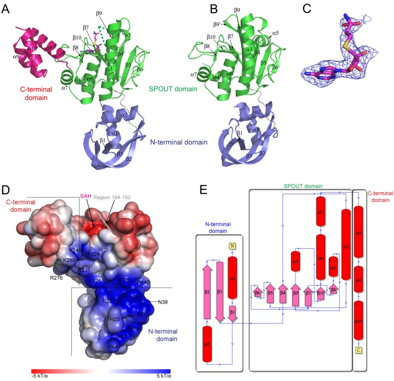 Figure 2.