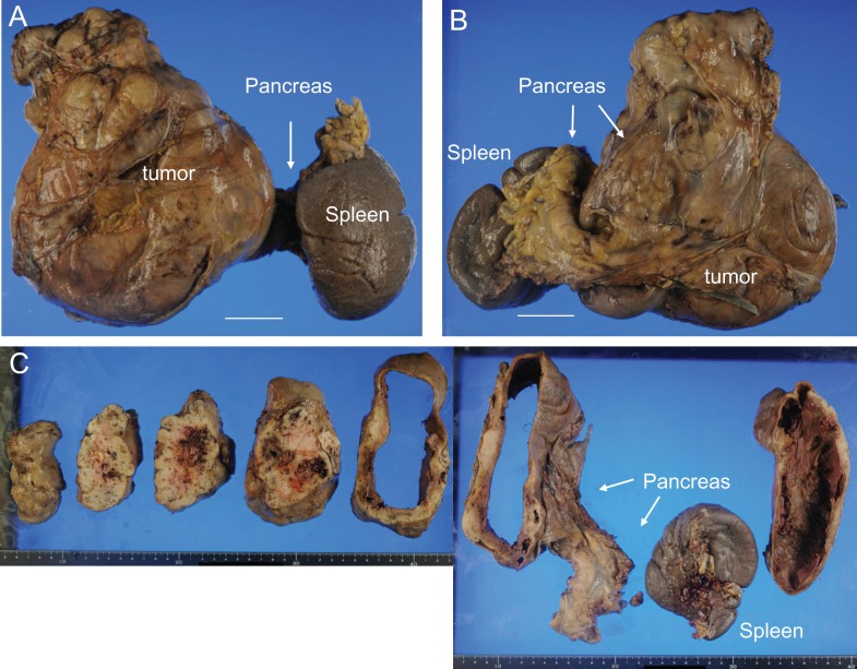 Figure 2: