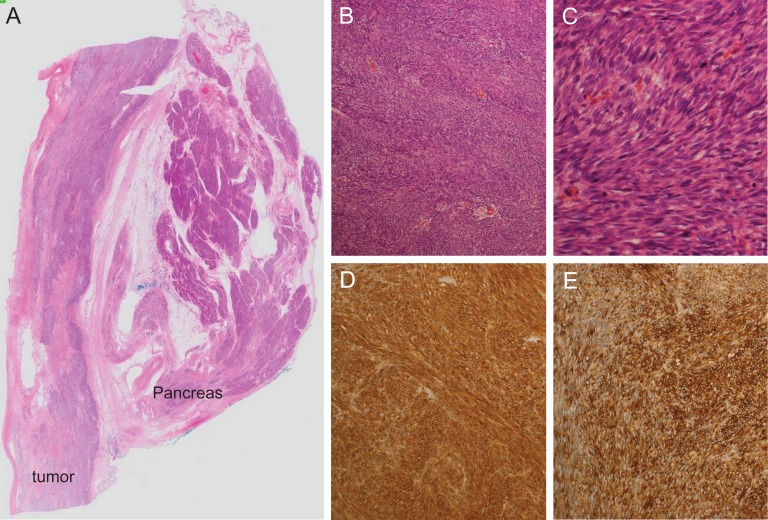 Figure 3: