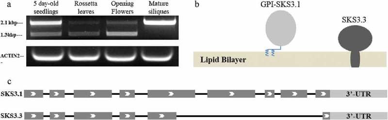 Figure 2.