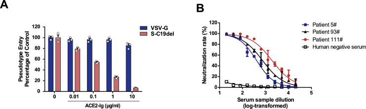 Figure 4