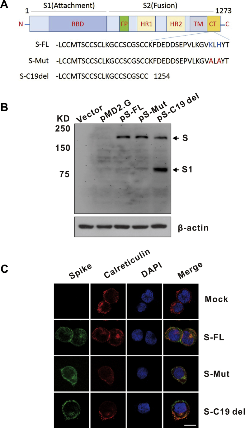 Figure 1