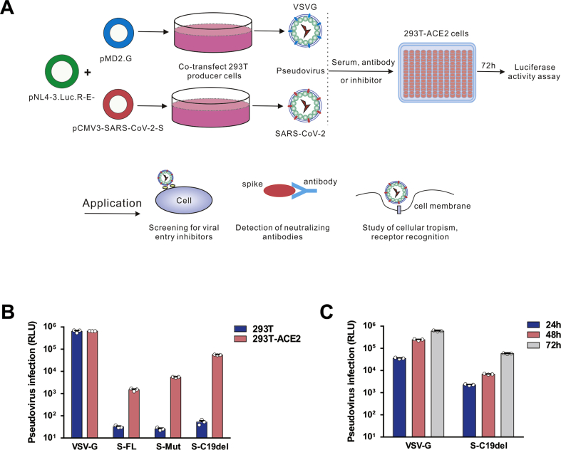 Figure 2