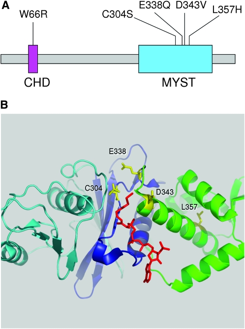 Figure 1.—