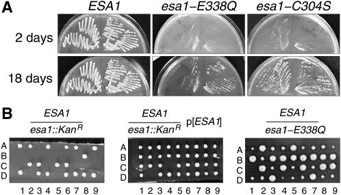 Figure 2.—