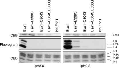 Figure 7.—