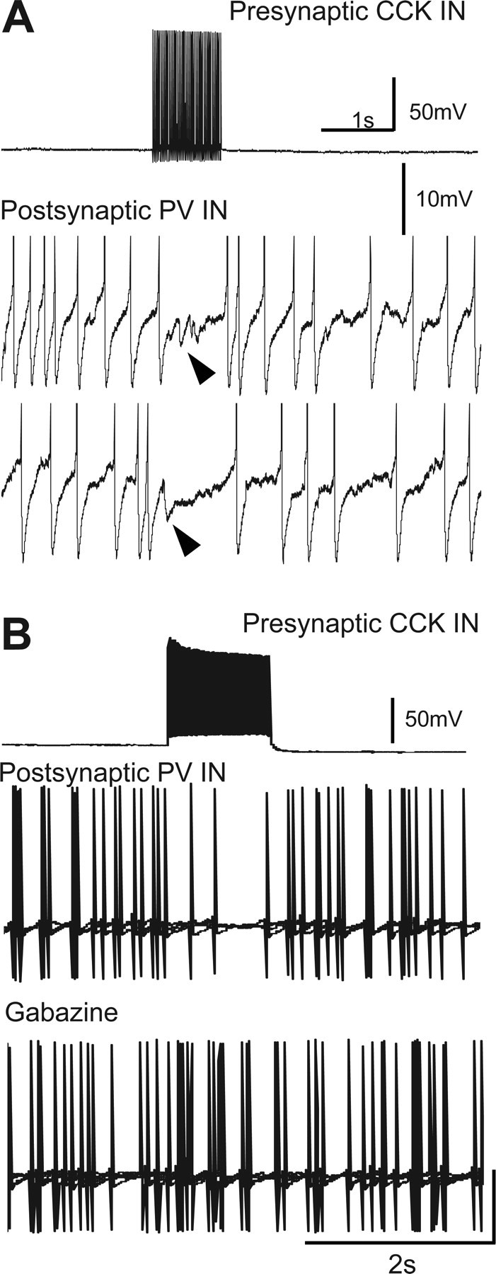 Figure 10.