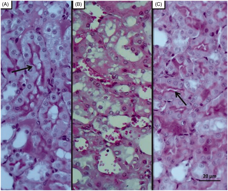 Figure 7.