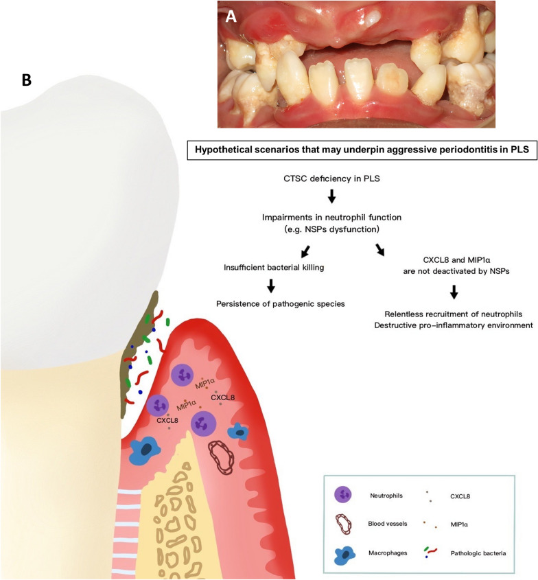 Fig. 3