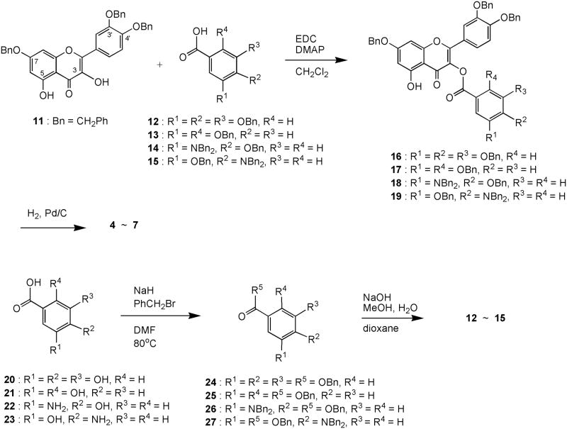 Scheme 1