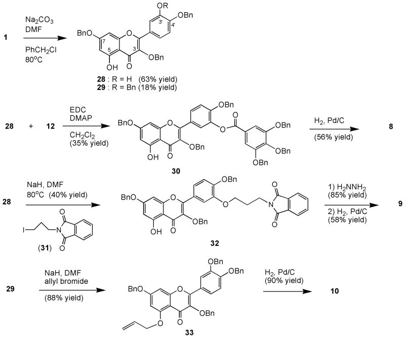 Scheme 2