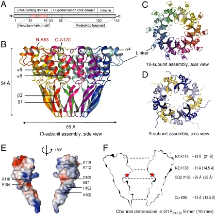 Fig. 1.