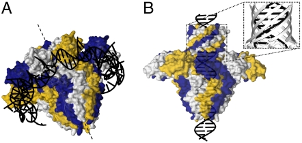 Fig. 4.