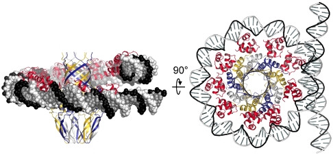 Fig. 6.