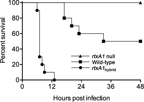 FIG 3 