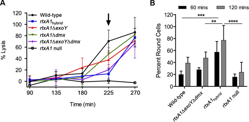 FIG 2 