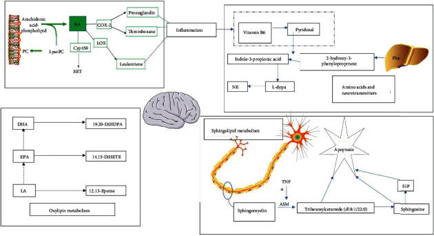 Figure 10