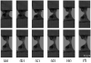 Fig. 10