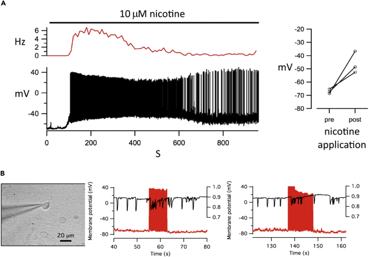 Figure 4