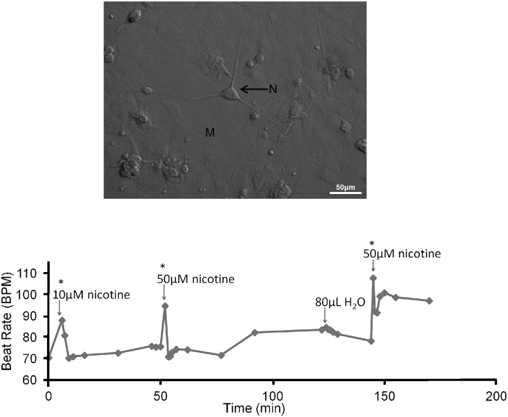 Figure 3