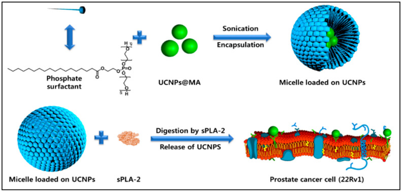 Figure 16