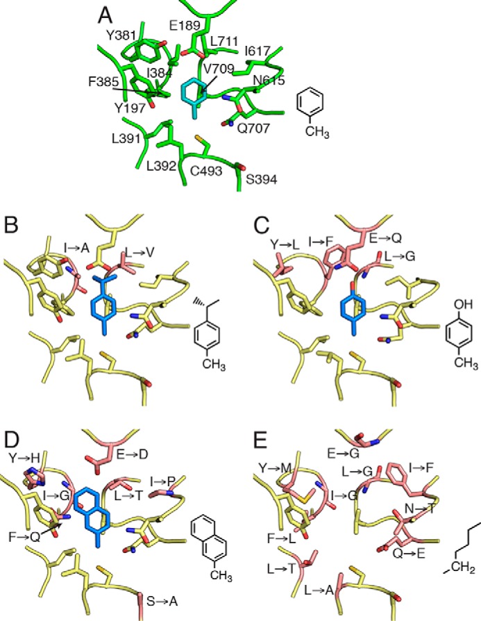 FIGURE 11.