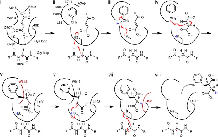 FIGURE 12.