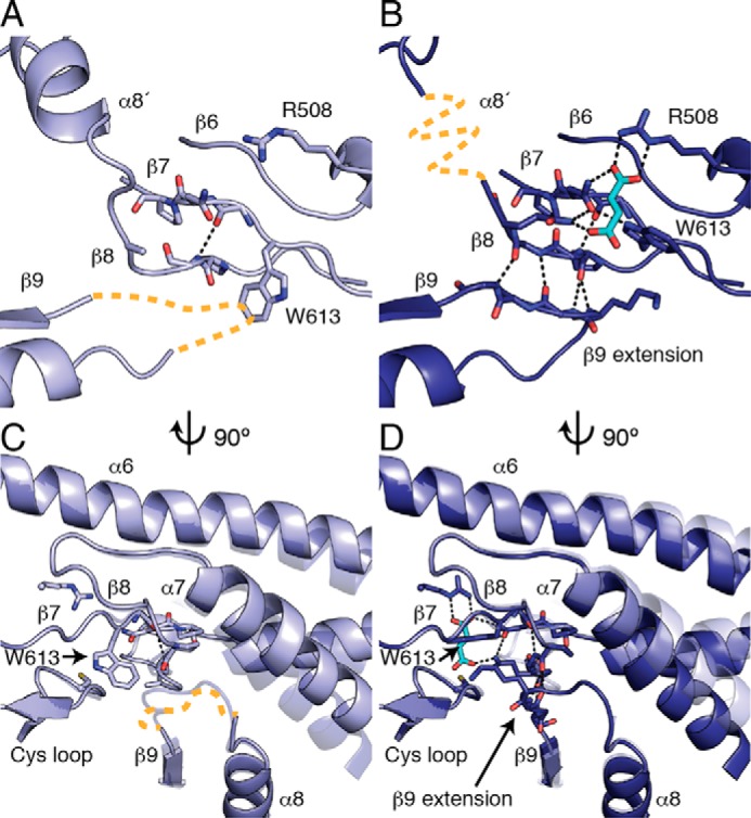 FIGURE 5.