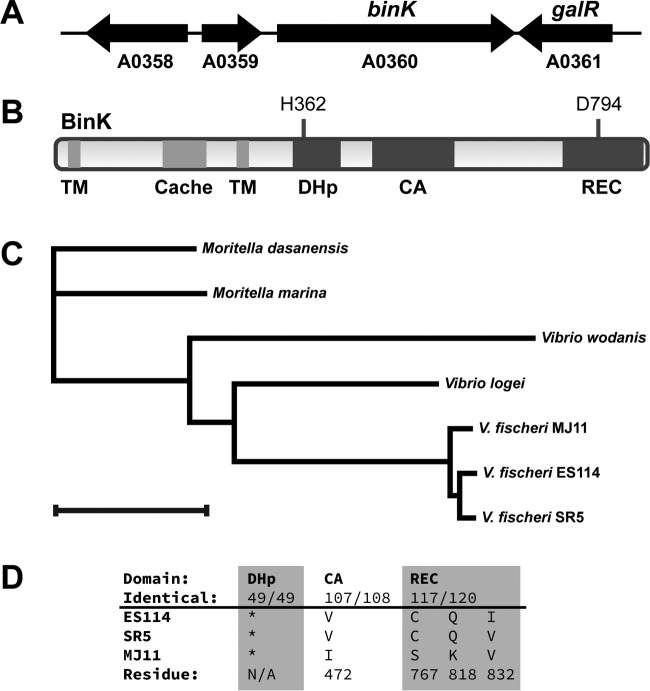 FIG 2