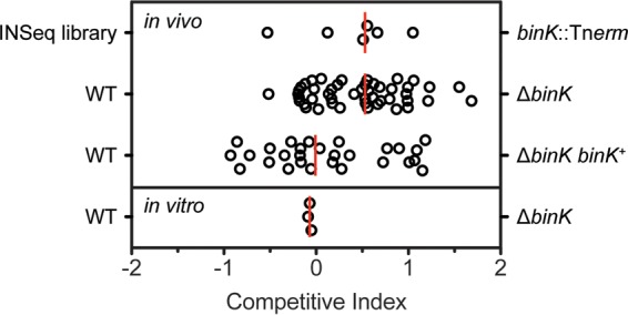 FIG 3