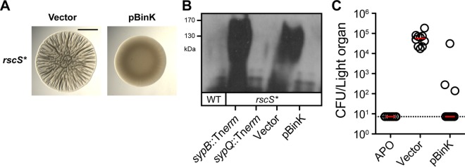 FIG 5