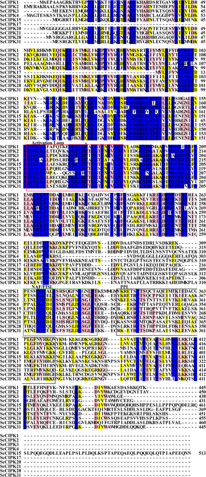 Fig. 4