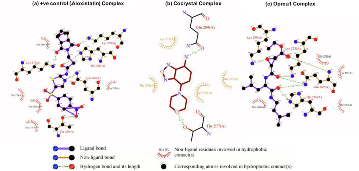 Figure 4