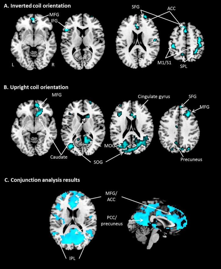 Figure 2