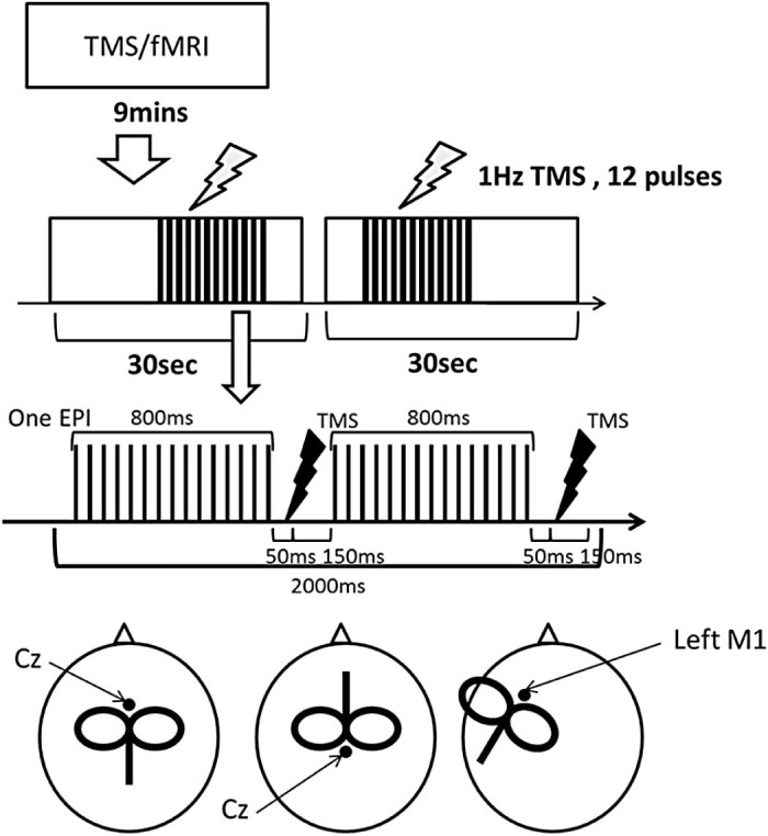 Figure 1